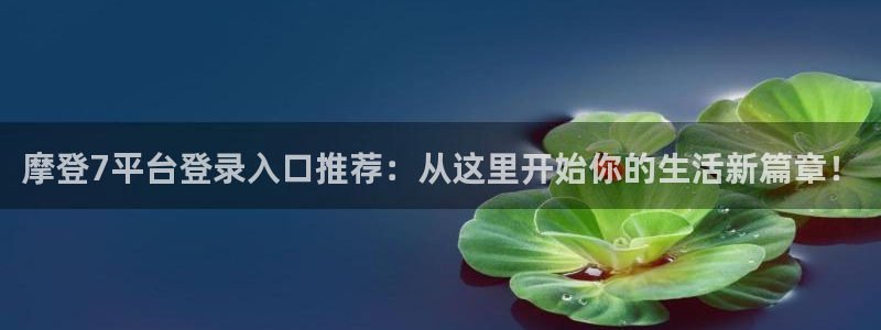 南宫NG平台注册账号：摩登7平台登录入口推荐：从这里开始你的生活新篇章！