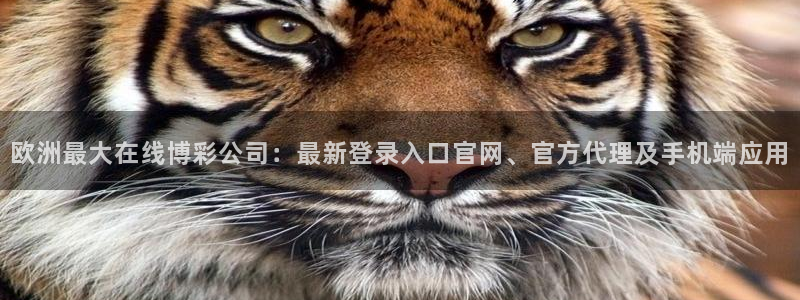 南宫NG平台注册：欧洲最大在线博彩公司：最新登录入口官网、官方代理及手机端应用