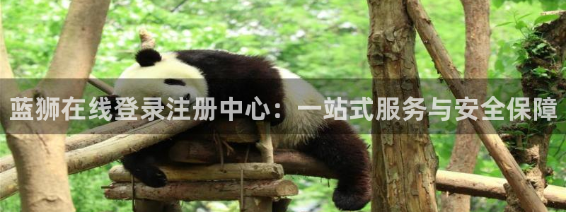 南宫NG注册入口：蓝狮在线登录注册中心：一站式服务与安全保障