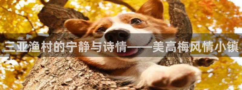 南宫NG下载二维码：三亚渔村的宁静与诗情——美高梅风情小镇