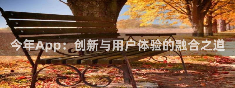 南宫NG凯捷平台注册链接：今年App：创新与用户体验的融合之道