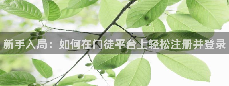 南宫NG体育：新手入局：如何在门徒平台上轻松注册并登录