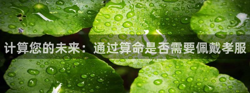 南宫NG游戏：计算您的未来：通过算命是否需要佩戴孝服