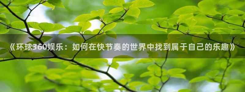 南宫NG体育平台开号链接：《环球360娱乐：如何在快节奏的世界中找到属于自己的乐