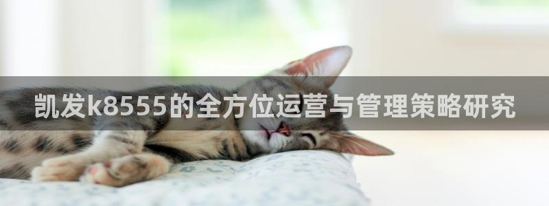 南宫NG是什么平台：凯发k8555的全方位运营与管理策略研究