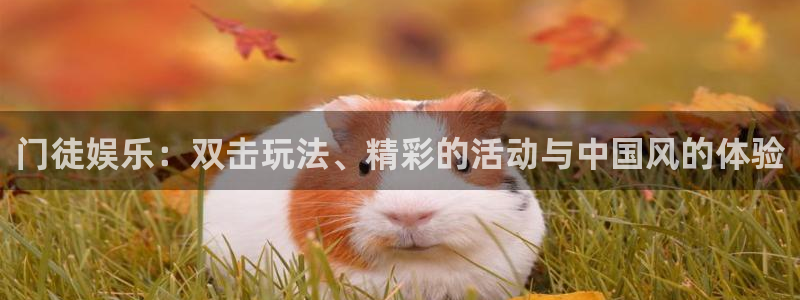 南宫NG体育官网：门徒娱乐：双击玩法、精彩的活动与中国风的体验