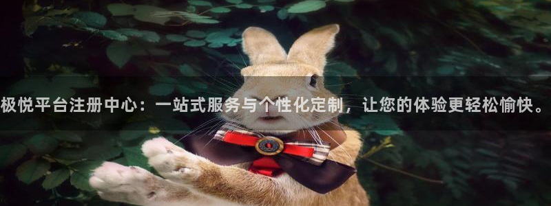 南宫NG是什么：极悦平台注册中心：一站式服务与个性化定制，让您的体验更轻松愉快。
