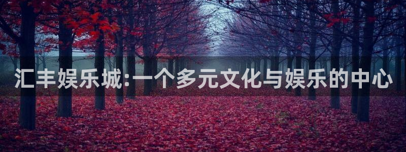 南宫NG平台官方网站：汇丰娱乐城:一个多元文化与娱乐的中心