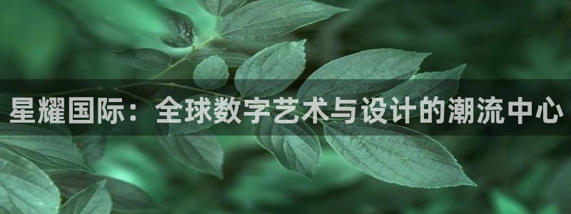 南宫NG有梦你就来：星耀国际：全球数字艺术与设计的潮流中心
