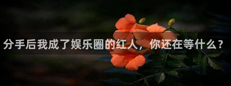 南宫NG体育3在线注册：分手后我成了娱乐圈的红人，你还在等什么？