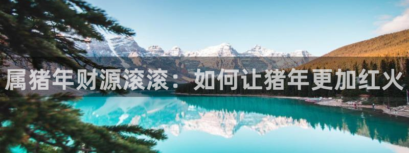 南宫NG体育注册平台：属猪年财源滚滚：如何让猪年更加红火