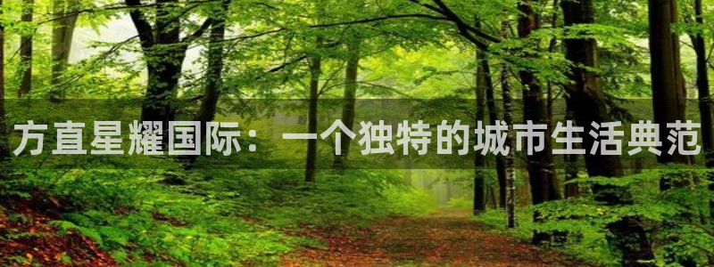 南宫NG的平台：方直星耀国际：一个独特的城市生活典范