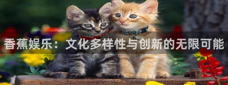 南宫NGkgame：香蕉娱乐：文化多样性与创新的无限可能