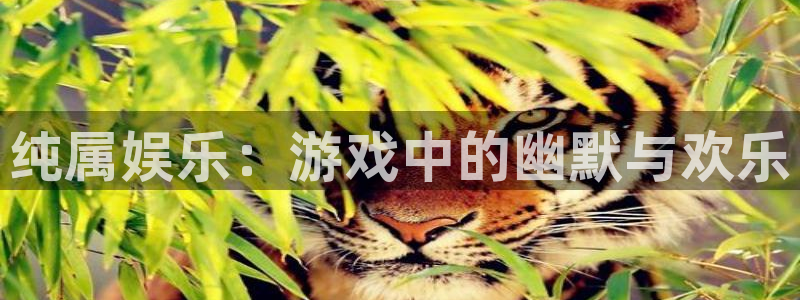 南宫NG主管：纯属娱乐：游戏中的幽默与欢乐