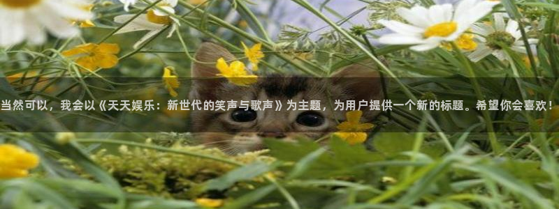 南宫NG3平台注册：当然可以，我会以《天天娱乐：新世代的笑声与歌声》为主题，为用