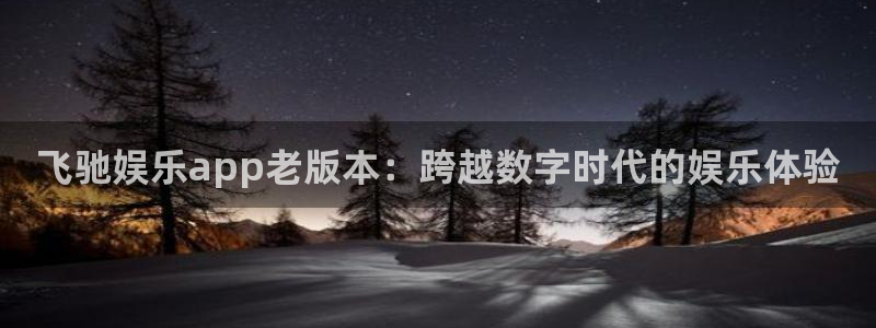 南宫NG体育凯捷代理注册：飞驰娱乐app老版本：跨越数字时代的娱乐体验