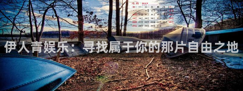 南宫NG平台注册：伊人青娱乐：寻找属于你的那片自由之地