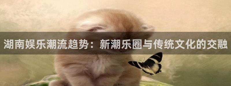 南宫NG3登录：湖南娱乐潮流趋势：新潮乐圈与传统文化的交融