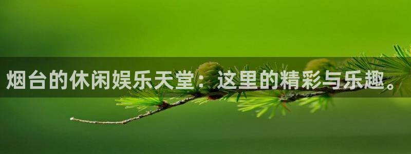 南宫NG零能源集团：烟台的休闲娱乐天堂：这里的精彩与乐趣。