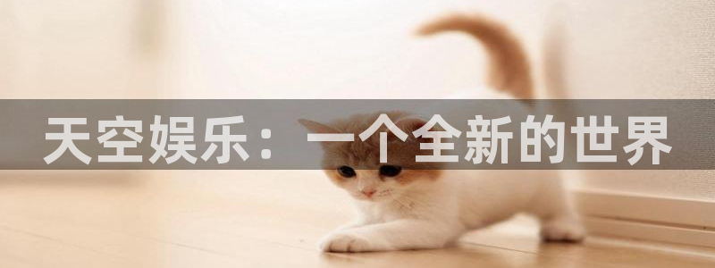 成都南宫NG电子有限公司：天空娱乐：一个全新的世界