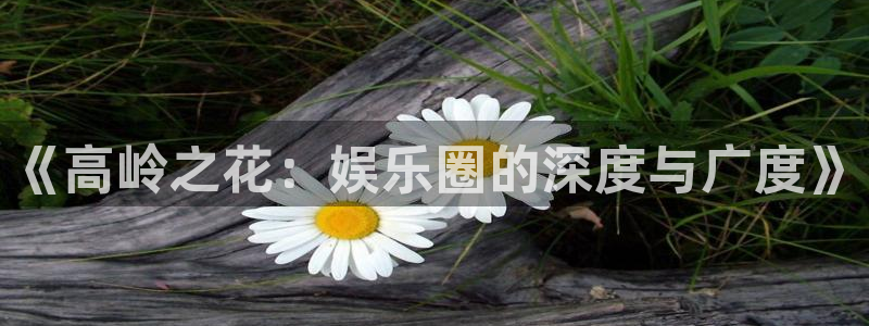 南宫NG体育官网入口登录：《高岭之花：娱乐圈的深度与广度》