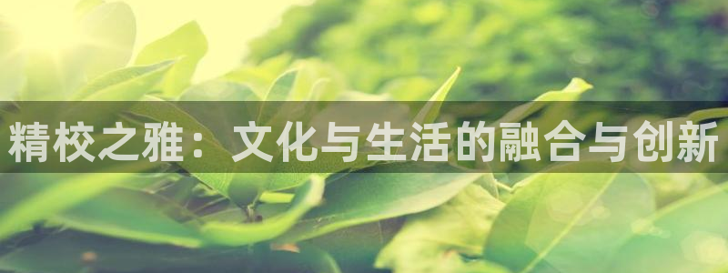 南宫NG麻将胡了：精校之雅：文化与生活的融合与创新