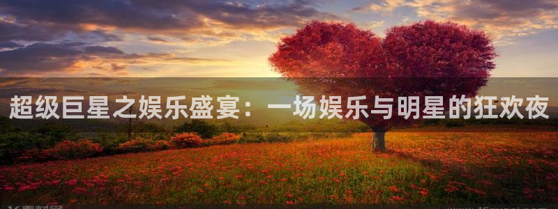 南宫NGkgame：超级巨星之娱乐盛宴：一场娱乐与明星的狂欢夜