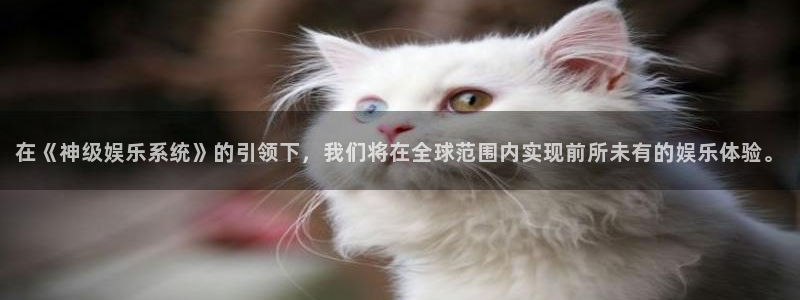 南宫NG软件：在《神级娱乐系统》的引领下，我们将在全球范围内实现前所未有的娱乐体