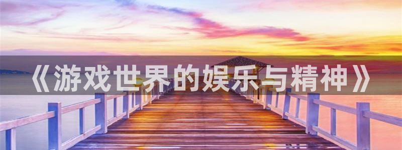 南宫NG2代理注册：《游戏世界的娱乐与精神》