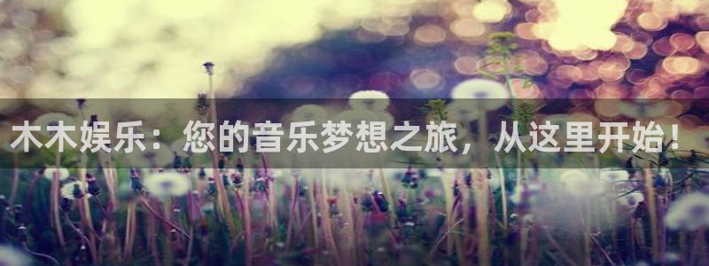 南宫NG体育3在线注册：木木娱乐：您的音乐梦想之旅，从这里开始！