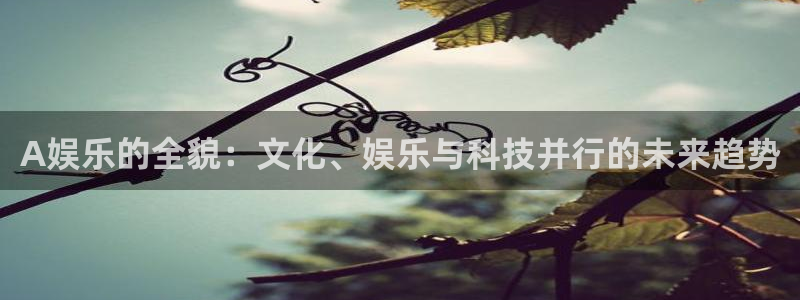 南宫NG登录注册：A娱乐的全貌：文化、娱乐与科技并行的未来趋势