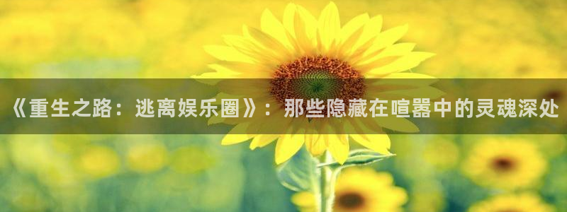 南宫NG体育注册平台：《重生之路：逃离娱乐圈》：那些隐藏在喧嚣中的灵魂深处