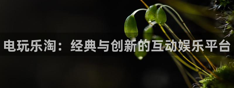 南宫NG5注册：电玩乐淘：经典与创新的互动娱乐平台